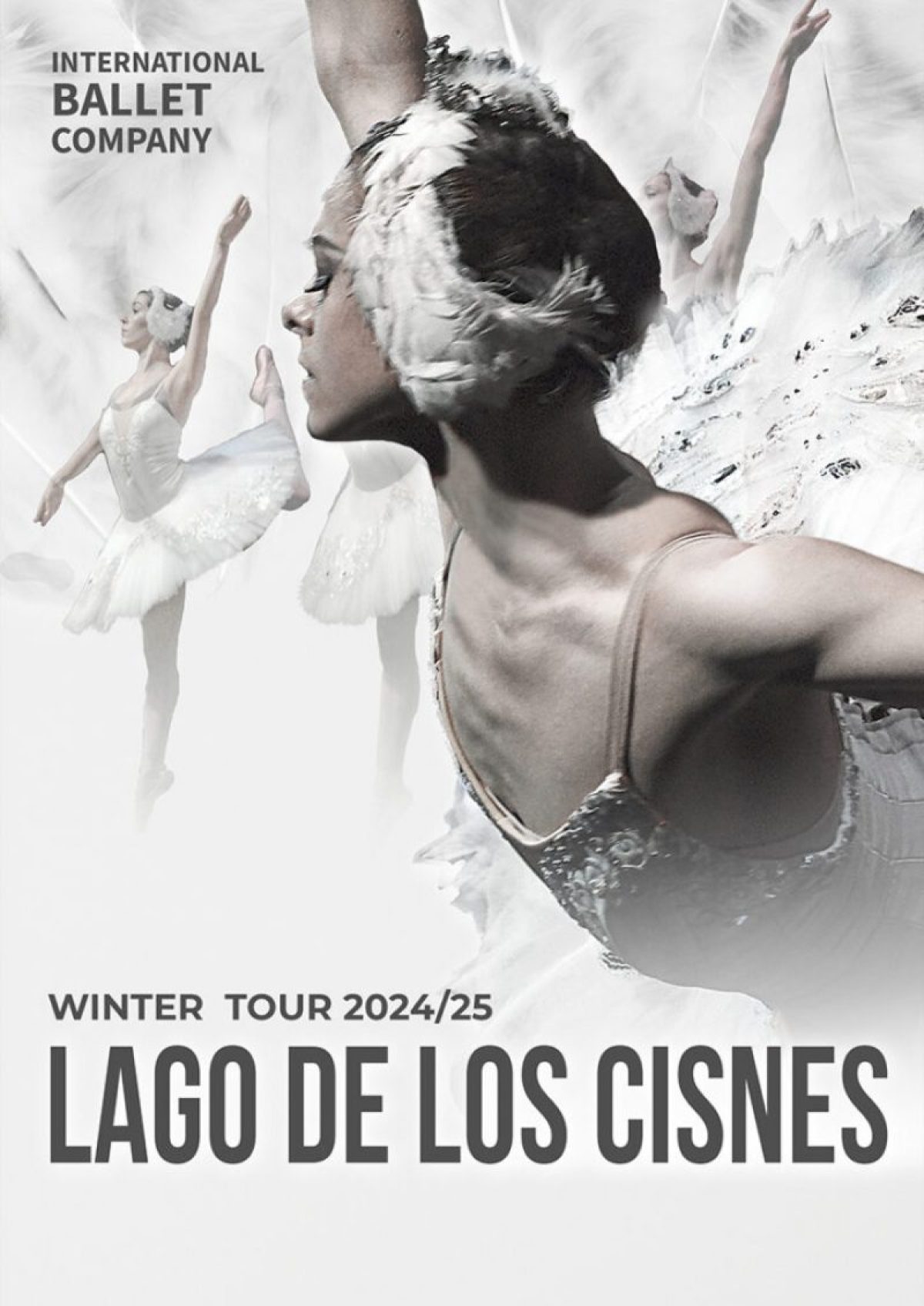 Lago de los cisnes de la International Ballet Company