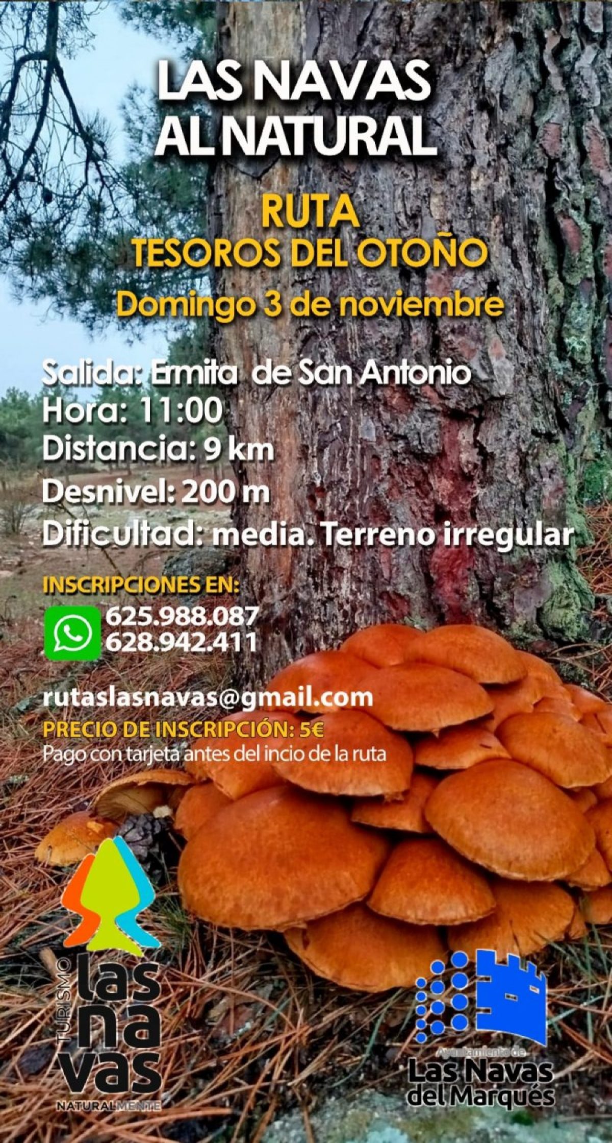 Ruta de senderismo guiada. Tesoros del otoño