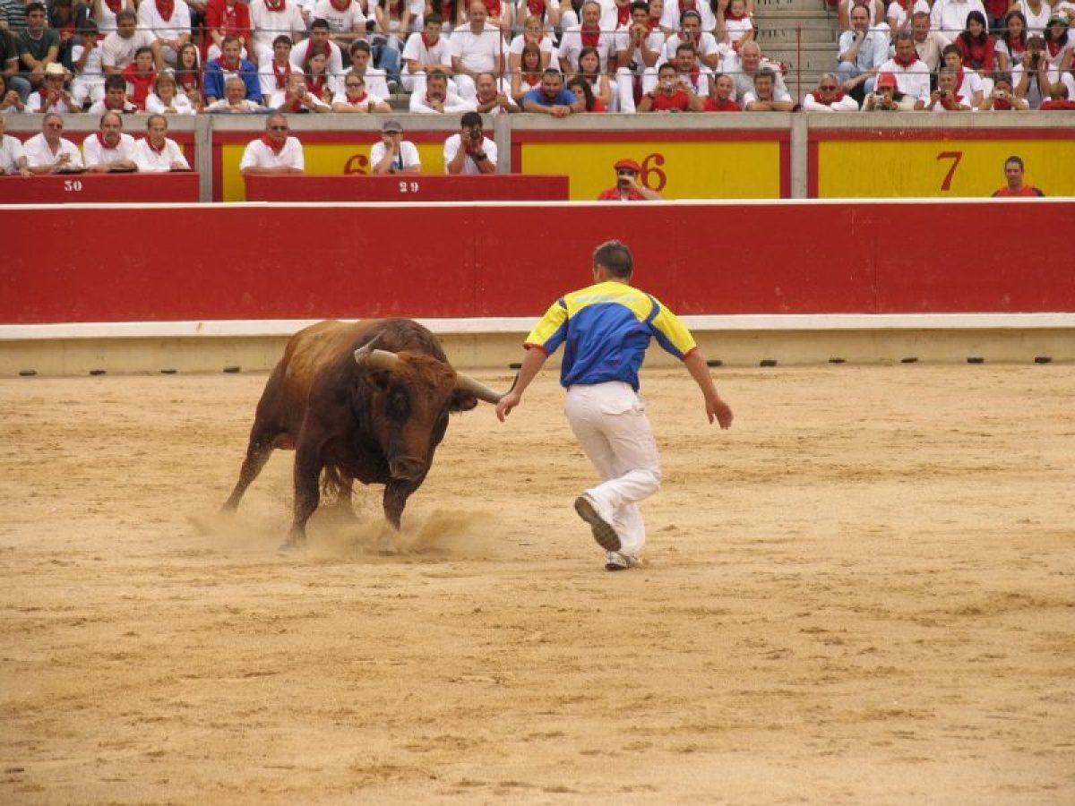 Concurso Nacional de Recortes